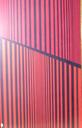 Untitled #1         31½" x 20"