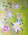 The Stars		        	          30" x 24"